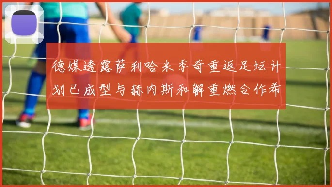 德媒透露萨利哈米季奇重返足坛计划已成型与赫内斯和解重燃合作希望